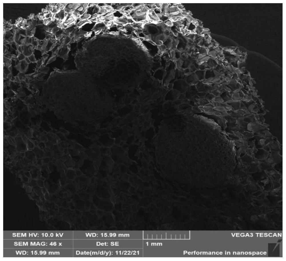 一種改性可發(fā)性聚苯乙烯顆粒、制備方法及其應(yīng)用