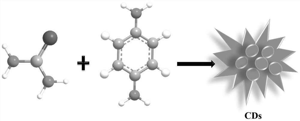 一種熒光碳點(diǎn)及其制備方法與應(yīng)用