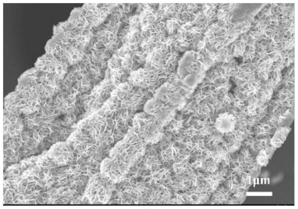 一種兼具優(yōu)異機(jī)械性能的碳纖維基太陽能光熱高效轉(zhuǎn)化材料及其制備方法和應(yīng)用