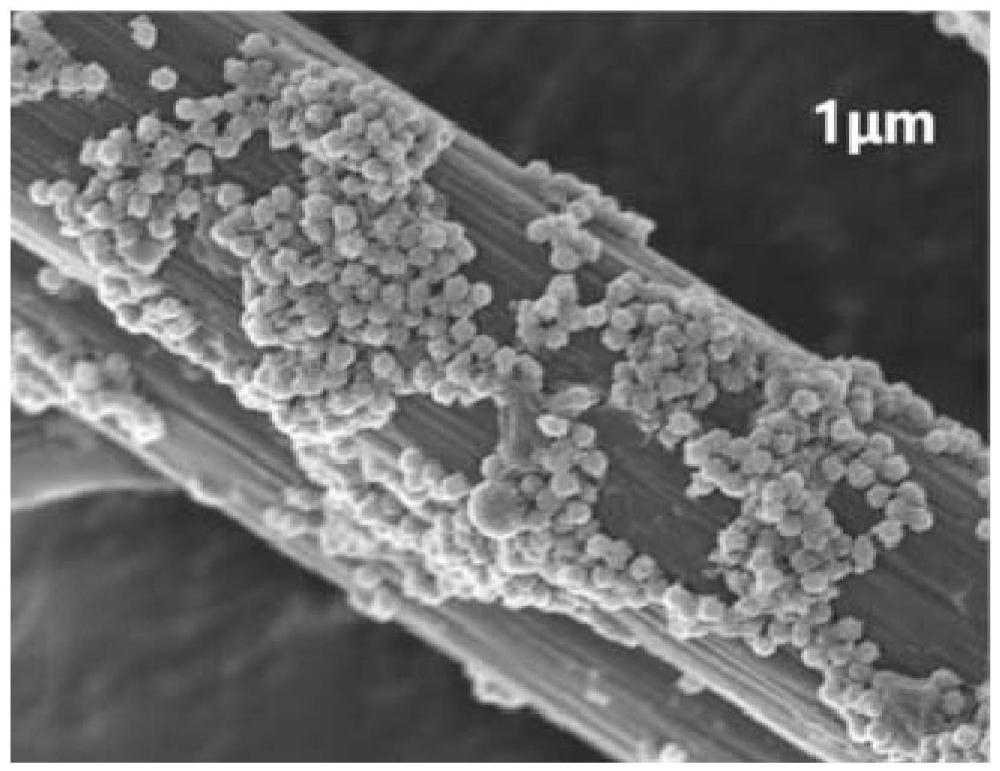 一種氧化石墨烯/聚苯胺中空微球剛?cè)峤Y(jié)構(gòu)改性碳纖維、制備方法及其復(fù)合材料