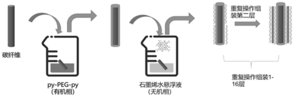 一種具有仿生層級結(jié)構(gòu)界面層的碳纖維、制備方法以及復合材料制備方法