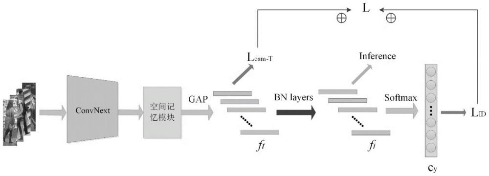 一種基于單尺度特征表達(dá)的遮擋行人重識別方法