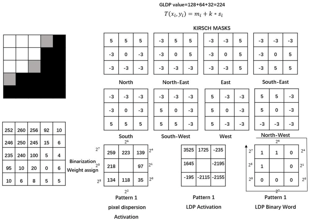 一種高效的手指靜脈圖像特征提取方法和系統(tǒng)